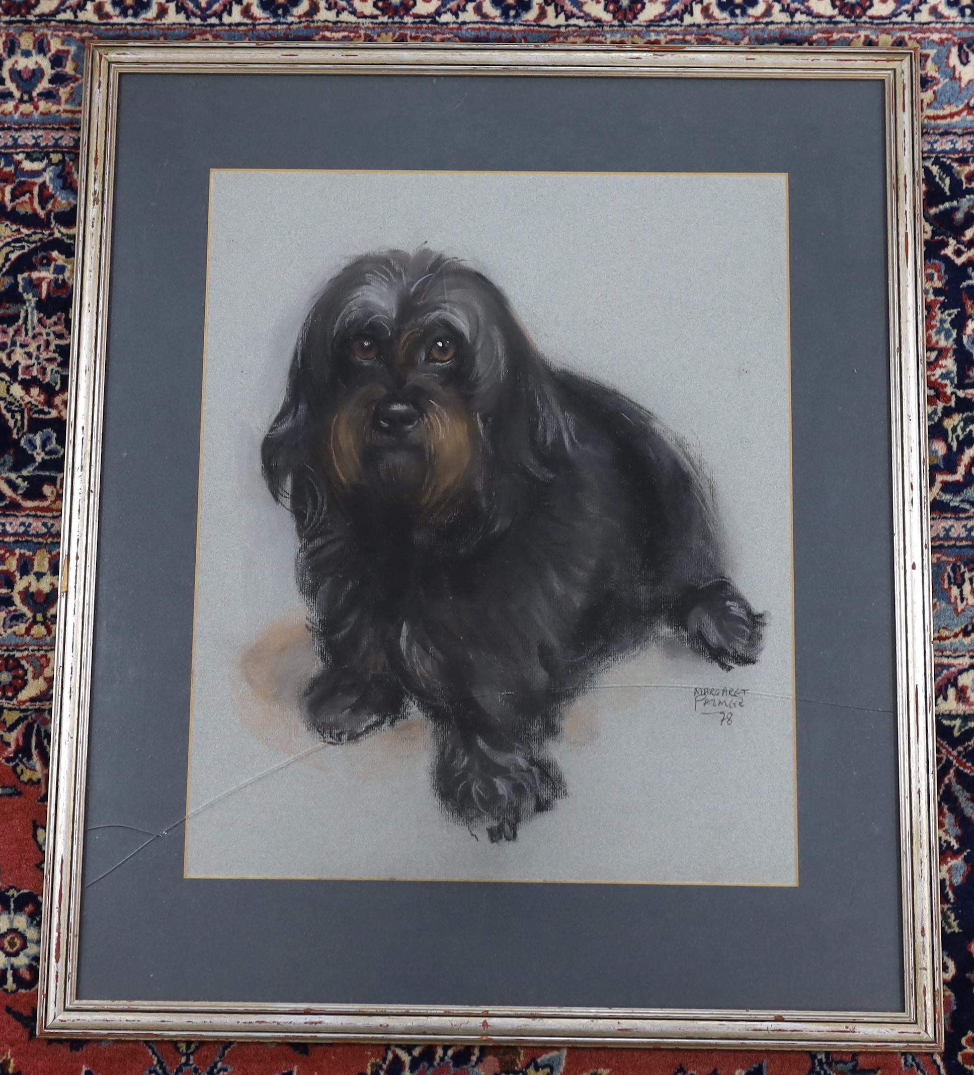 Margaret Palmer (b.1922), pastel, Portrait of a terrier, signed and dated '78, 47 x 38cm